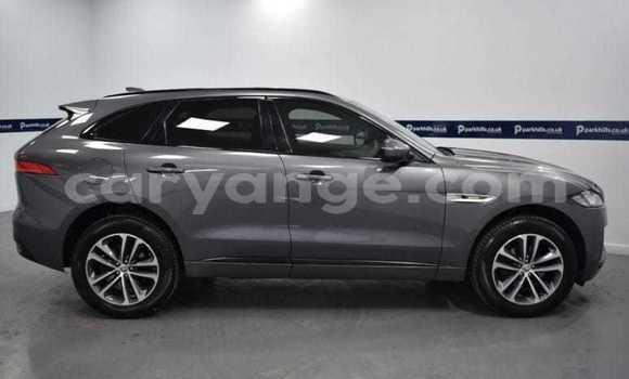 Acheter Occasion Voiture Jaguar F-Pace Gris à Windhoek, Namibie Acheter Occasion Voiture Jaguar F-Pace Gris à Windhoek, Namibie
