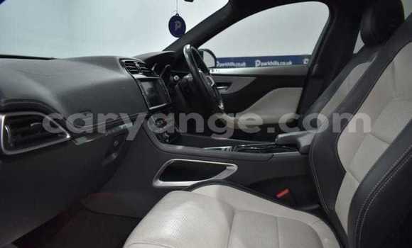 Acheter Occasion Voiture Jaguar F-Pace Gris à Windhoek, Namibie Acheter Occasion Voiture Jaguar F-Pace Gris à Windhoek, Namibie