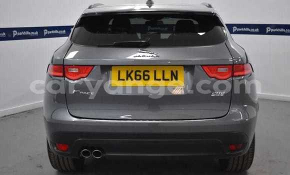 Acheter Occasion Voiture Jaguar F-Pace Gris à Windhoek, Namibie Acheter Occasion Voiture Jaguar F-Pace Gris à Windhoek, Namibie