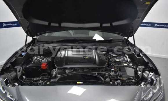 Acheter Occasion Voiture Jaguar F-Pace Gris à Windhoek, Namibie Acheter Occasion Voiture Jaguar F-Pace Gris à Windhoek, Namibie