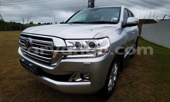 Acheter Occasion Voiture Toyota Land Cruiser Gris à Windhoek, Namibie Acheter Occasion Voiture Toyota Land Cruiser Gris à Windhoek, Namibie