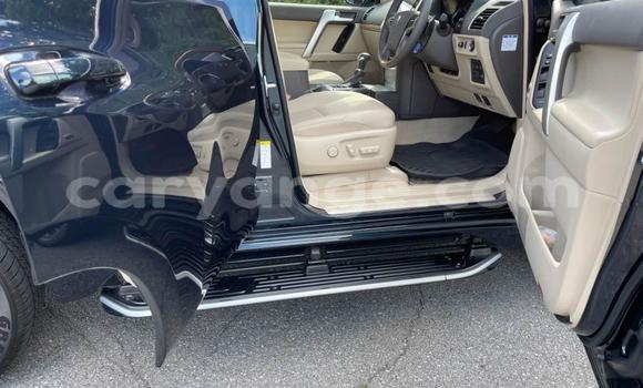 Buy Used Toyota Land Cruiser Prado Black Car in Windhoek in Namibia Buy Used Toyota Land Cruiser Prado Black Car in Windhoek in Namibia