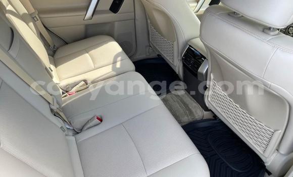 Buy Used Toyota Land Cruiser Prado Black Car in Windhoek in Namibia Buy Used Toyota Land Cruiser Prado Black Car in Windhoek in Namibia