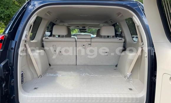 Buy Used Toyota Land Cruiser Prado Black Car in Windhoek in Namibia Buy Used Toyota Land Cruiser Prado Black Car in Windhoek in Namibia