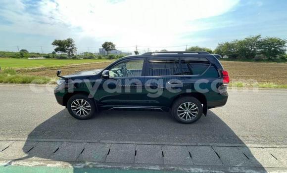 Buy Used Toyota Land Cruiser Prado Black Car in Windhoek in Namibia Buy Used Toyota Land Cruiser Prado Black Car in Windhoek in Namibia