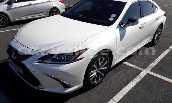 Buy Used Lexus ES White Car in Windhoek in Namibia
