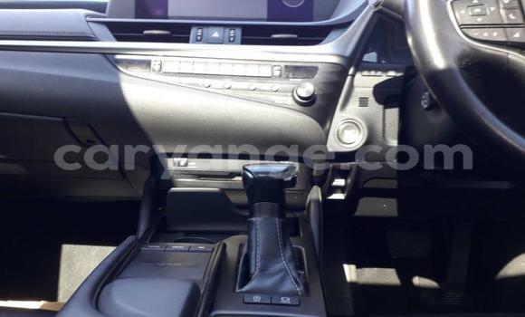 Buy Used Lexus ES White Car in Windhoek in Namibia Buy Used Lexus ES White Car in Windhoek in Namibia