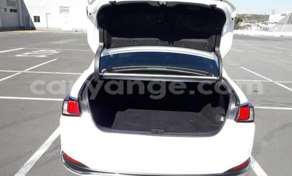 Buy Used Lexus ES White Car in Windhoek in Namibia Buy Used Lexus ES White Car in Windhoek in Namibia