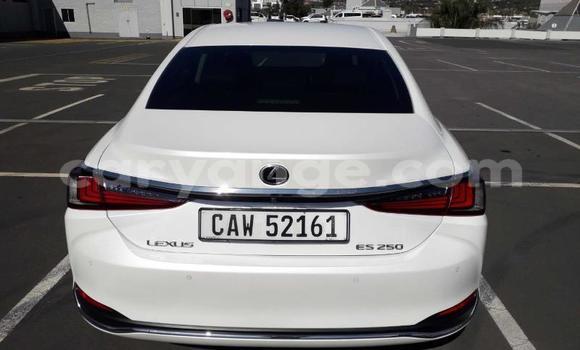 Buy Used Lexus ES White Car in Windhoek in Namibia Buy Used Lexus ES White Car in Windhoek in Namibia