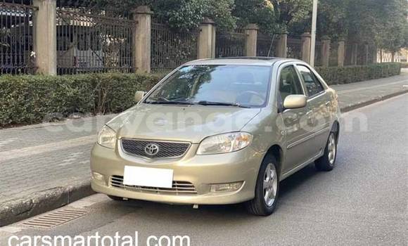 Buy Used Toyota Vios Silver Car in Arandis in Kunene
