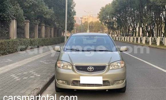 Buy Used Toyota Vios Silver Car in Arandis in Kunene Buy Used Toyota Vios Silver Car in Arandis in Kunene