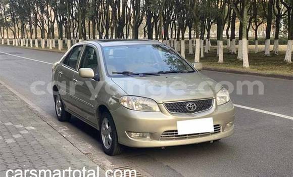 Buy Used Toyota Vios Silver Car in Arandis in Kunene Buy Used Toyota Vios Silver Car in Arandis in Kunene