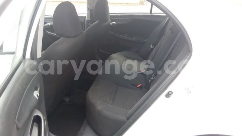 Big with watermark 52688489 2237396122977341 6332104330698555392 o