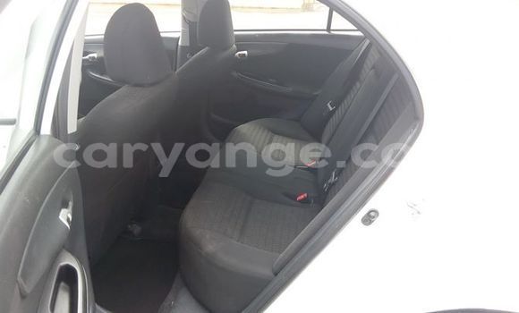 Buy Used Toyota Corolla White Car in Windhoek in Namibia Buy Used Toyota Corolla White Car in Windhoek in Namibia