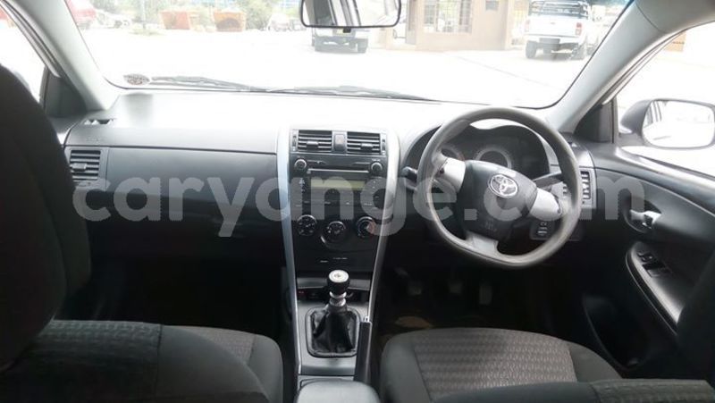 Big with watermark 52633946 2237395139644106 7646968414719705088 o