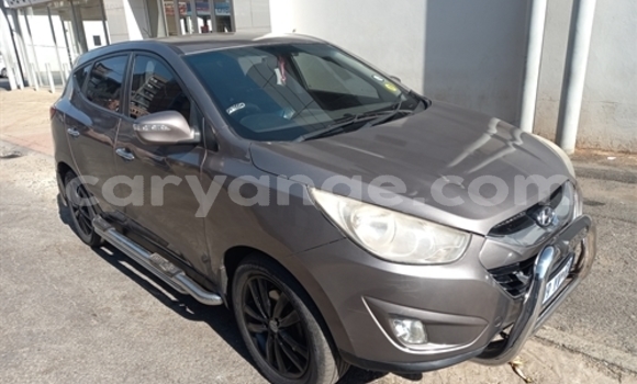 Buy Used Hyundai Ix35 Beige Car in Arandis in Kunene Buy Used Hyundai Ix35 Beige Car in Arandis in Kunene