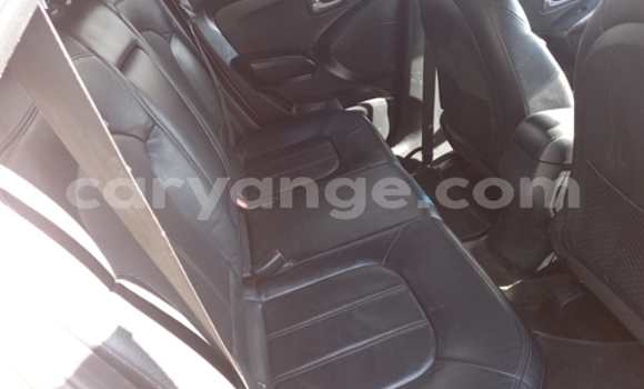 Buy Used Hyundai Ix35 Beige Car in Arandis in Kunene Buy Used Hyundai Ix35 Beige Car in Arandis in Kunene