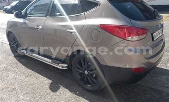 Buy Used Hyundai Ix35 Beige Car in Arandis in Kunene Buy Used Hyundai Ix35 Beige Car in Arandis in Kunene