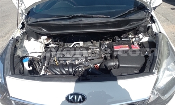 Buy Used Kia Rio White Car in Grootfontein in Namibia Buy Used Kia Rio White Car in Grootfontein in Namibia