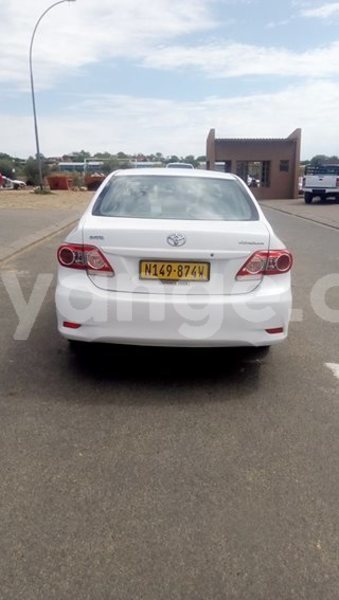 Big with watermark 52555141 2237393016310985 5358811994931593216 n