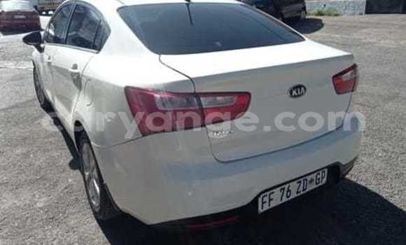 Buy Used Kia Rio White Car in Grootfontein in Namibia Buy Used Kia Rio White Car in Grootfontein in Namibia