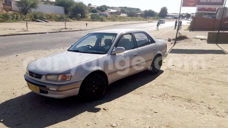 Big with watermark 52598993 2234113309972289 4901017113092685824 n