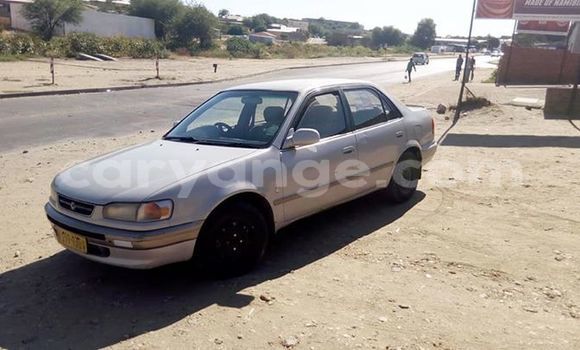 Buy Used Toyota Corolla Silver Car in Windhoek in Namibia Buy Used Toyota Corolla Silver Car in Windhoek in Namibia
