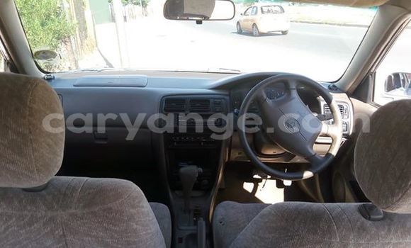 Buy Used Toyota Corolla Silver Car in Windhoek in Namibia Buy Used Toyota Corolla Silver Car in Windhoek in Namibia