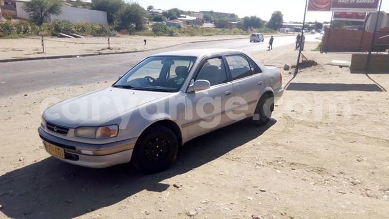 Big with watermark 52553543 2234112973305656 4020462162152521728 n