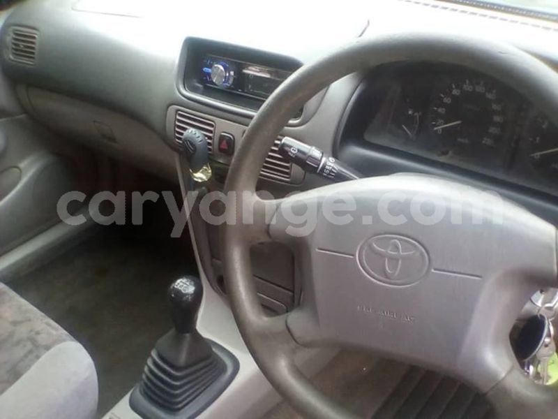 Big with watermark 52528701 2218681301515490 4097041240061640704 o