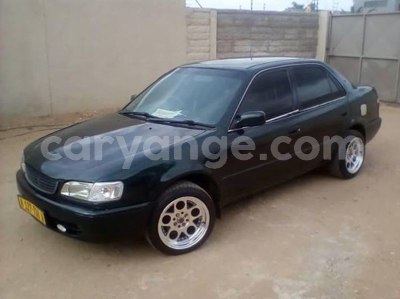 Big with watermark 51939123 2218681128182174 6890812132036706304 n