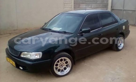 Buy Used Toyota Corolla Black Car in Windhoek in Namibia Buy Used Toyota Corolla Black Car in Windhoek in Namibia