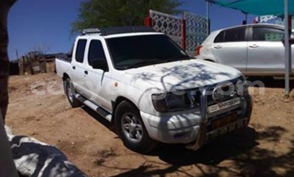 Buy Used Nissan Hardbody White Car in Windhoek in Namibia Buy Used Nissan Hardbody White Car in Windhoek in Namibia