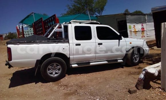 Buy Used Nissan Hardbody White Car in Windhoek in Namibia Buy Used Nissan Hardbody White Car in Windhoek in Namibia
