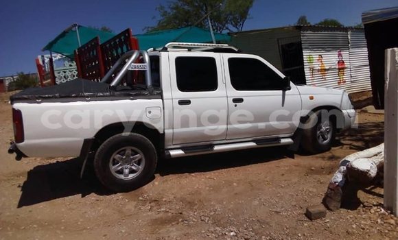 Buy Used Nissan Hardbody White Car in Windhoek in Namibia Buy Used Nissan Hardbody White Car in Windhoek in Namibia