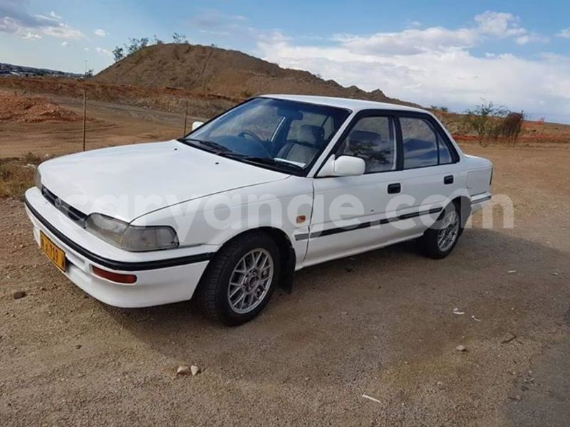 Big with watermark 51217627 2199419796774974 2803944518448054272 n