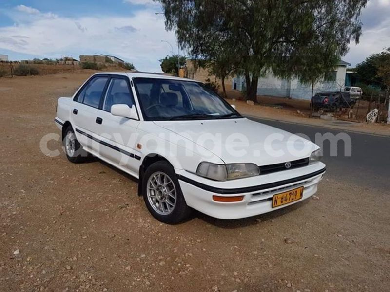 Big with watermark 50932999 2199419123441708 6943889213326622720 n