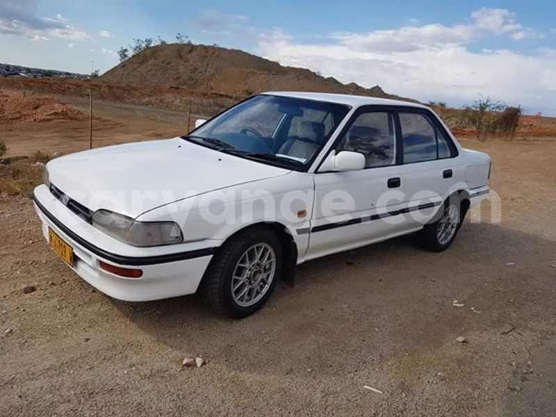 Big with watermark 50971874 2199418696775084 4885016719237578752 n