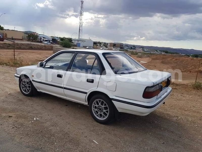 Big with watermark 51044305 2199418553441765 2097352510548213760 n