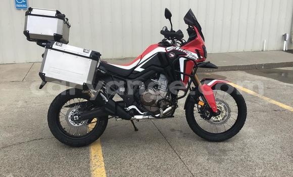 Buy Used Honda CRF Red Bike in Windhoek in Namibia Buy Used Honda CRF Red Bike in Windhoek in Namibia