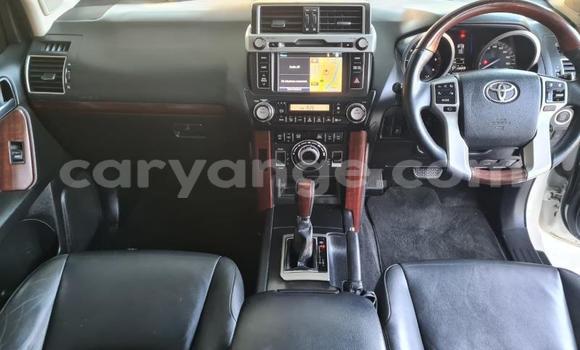 Buy Used Toyota Land Cruiser Prado White Car in Windhoek in Namibia Buy Used Toyota Land Cruiser Prado White Car in Windhoek in Namibia