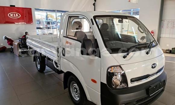 Buy Used Kia K7 White Car in Windhoek in Namibia Buy Used Kia K7 White Car in Windhoek in Namibia