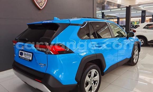 Buy Used Toyota RAV4 Blue Car in Windhoek in Namibia Buy Used Toyota RAV4 Blue Car in Windhoek in Namibia