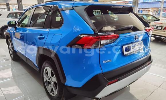 Buy Used Toyota RAV4 Blue Car in Windhoek in Namibia Buy Used Toyota RAV4 Blue Car in Windhoek in Namibia