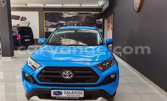 Buy Used Toyota RAV4 Blue Car in Windhoek in Namibia Buy Used Toyota RAV4 Blue Car in Windhoek in Namibia