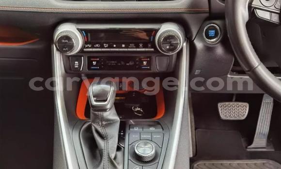 Buy Used Toyota RAV4 Blue Car in Windhoek in Namibia Buy Used Toyota RAV4 Blue Car in Windhoek in Namibia