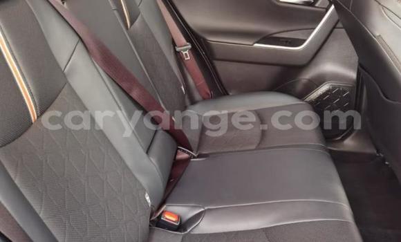 Buy Used Toyota RAV4 Blue Car in Windhoek in Namibia Buy Used Toyota RAV4 Blue Car in Windhoek in Namibia
