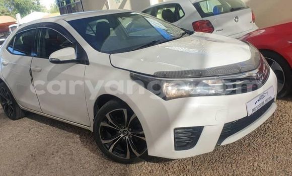 Buy Used Toyota Corolla White Car in Windhoek in Namibia Buy Used Toyota Corolla White Car in Windhoek in Namibia