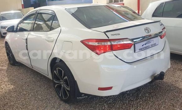 Acheter Occasion Voiture Toyota Corolla Blanc à Windhoek, Namibie Acheter Occasion Voiture Toyota Corolla Blanc à Windhoek, Namibie