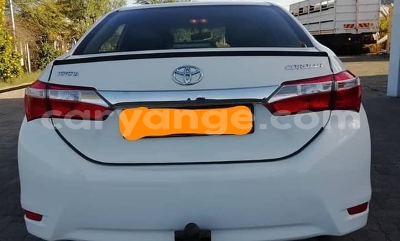 Acheter Occasion Voiture Toyota Corolla Blanc à Windhoek, Namibie Acheter Occasion Voiture Toyota Corolla Blanc à Windhoek, Namibie